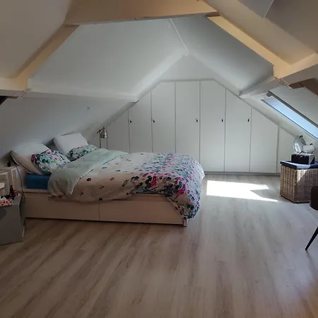 Cosy
